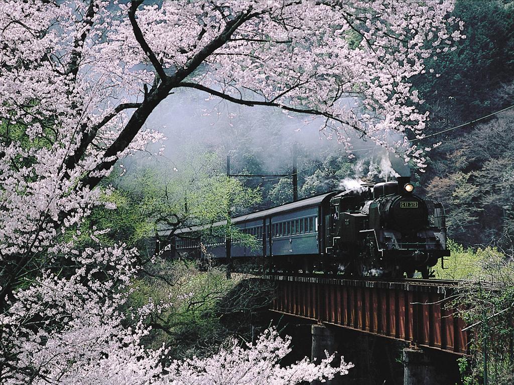Suikoen Hotell Shizuoka Exteriör bild
